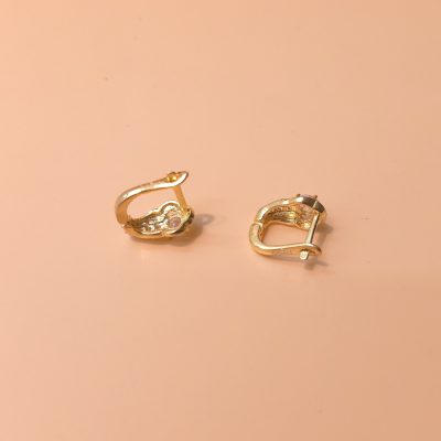 Bông tai nữ sỉ BTSU038 Tháng 6