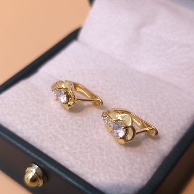 Bông tai nữ sỉ BTSU038 Tháng 6