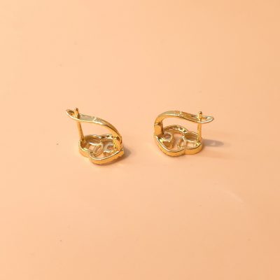 Bông tai nữ sỉ BTSU054 Tháng 6